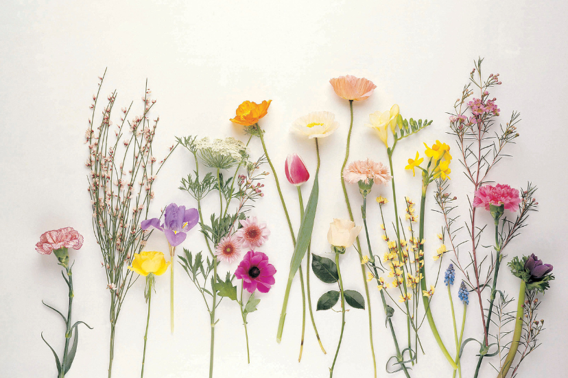 ways to preserve flowers